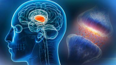 ‘Ground-breaking’ discovery made in bid to treat chronic pain