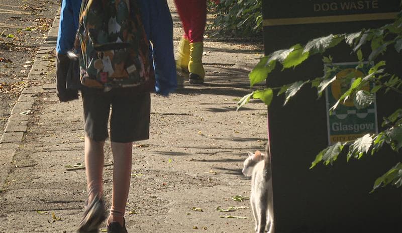 Purr-fect attendance: Kiki walks to school every day with her owner, Sonny