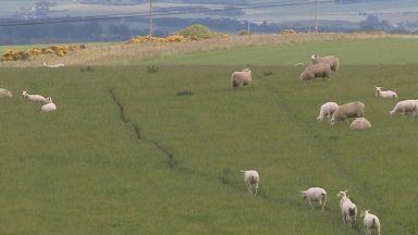 New project launched focused on suicide prevention in farming