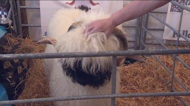 Royal Highland Show kicks off amid farming funding row
