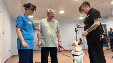 Stroke patients rebuild strength with help from therapy dogs at Inverclyde Royal Hospital
