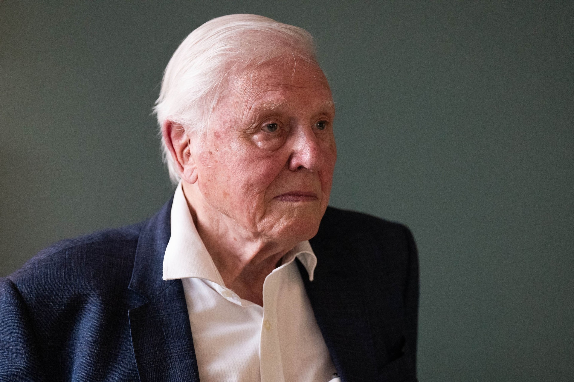 Sir David Attenborough has recently turned 99 and has been making natural history films for decades (James Manning/PA).