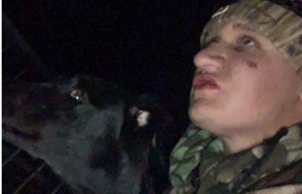 Man who used dogs to abuse animals including pet cat jailed for 12 months