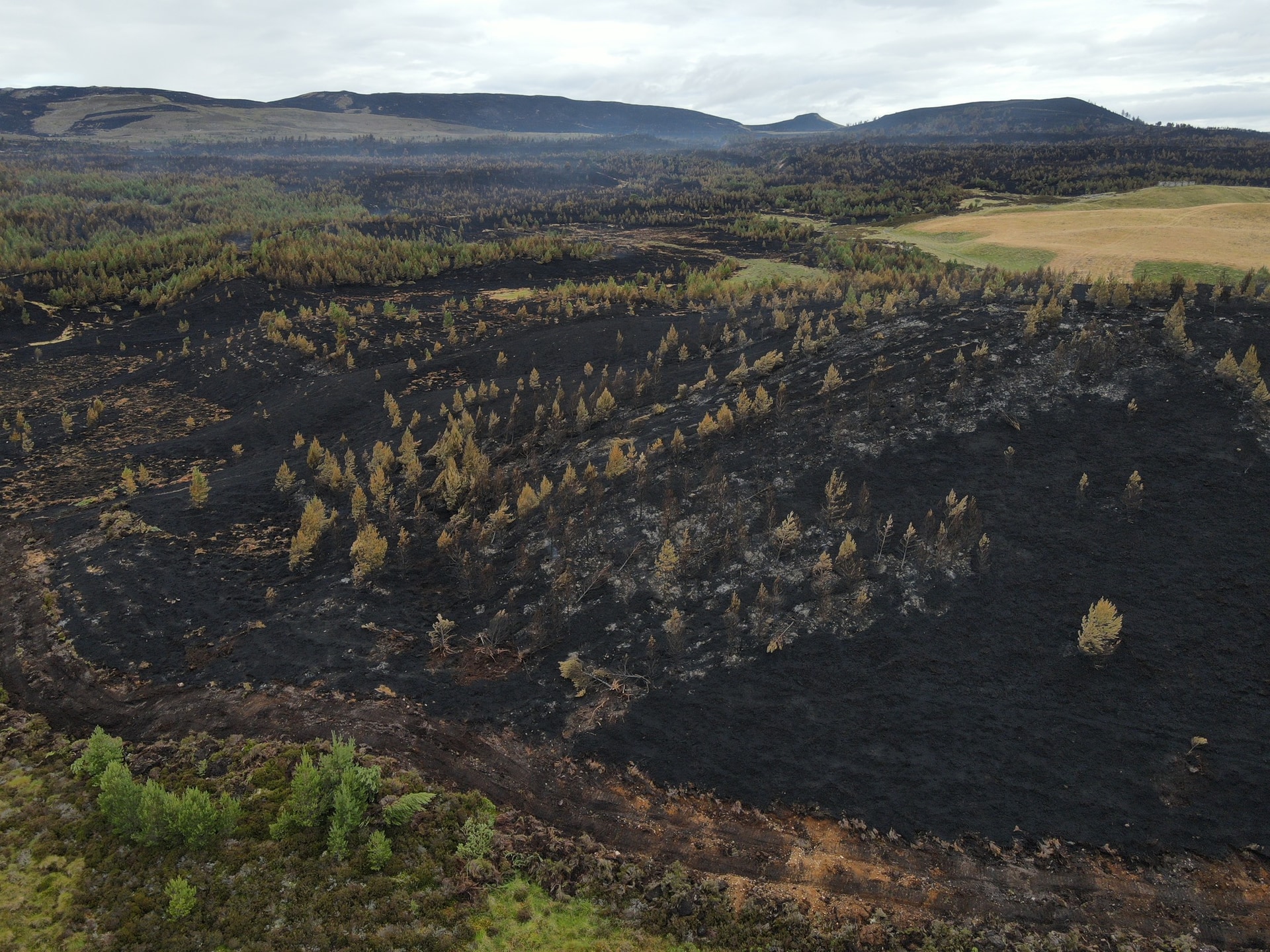 Cawdor Estate carried out drone surveys of the damage.