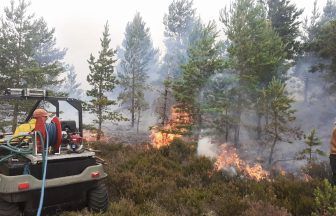 Crews tackle wildfires for fourth night as massive area ravaged