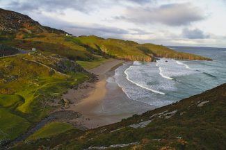 Whale euthanised after beach stranding