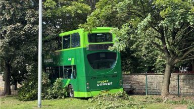 Two people including driver injured after Xplore Dundee bus crashes off road