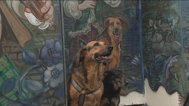 Vibrant mural depicting historic Edinburgh village unveiled