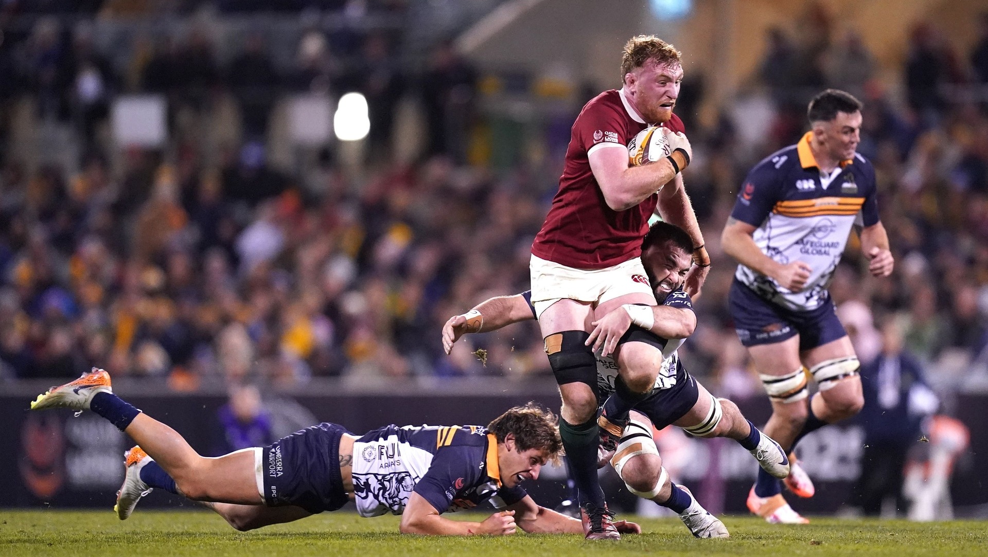 Ollie Chessum impressed for the Lions in Canberra.