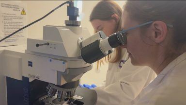 Scientists believe they have made secondary cancer breakthrough