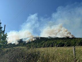 Firefighters spend second day battling Perth wildfire as heatwave continues