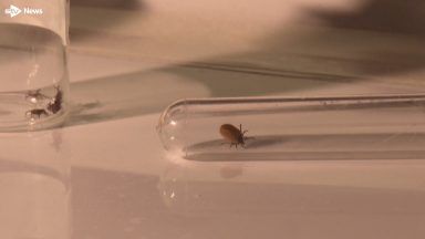 Campaign launched warning people over the danger of tick bites