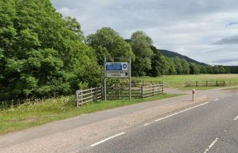 Manhunt after boy, eight, sexually assaulted on family camping trip in Highlands