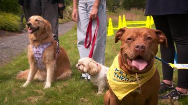 Barklove: New festival for dog lovers makes debut in Glasgow
