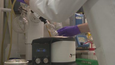 Researchers looking for new drug to fight fungal infections