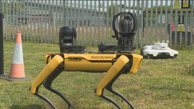 Could robot dogs become a common sight in farming?