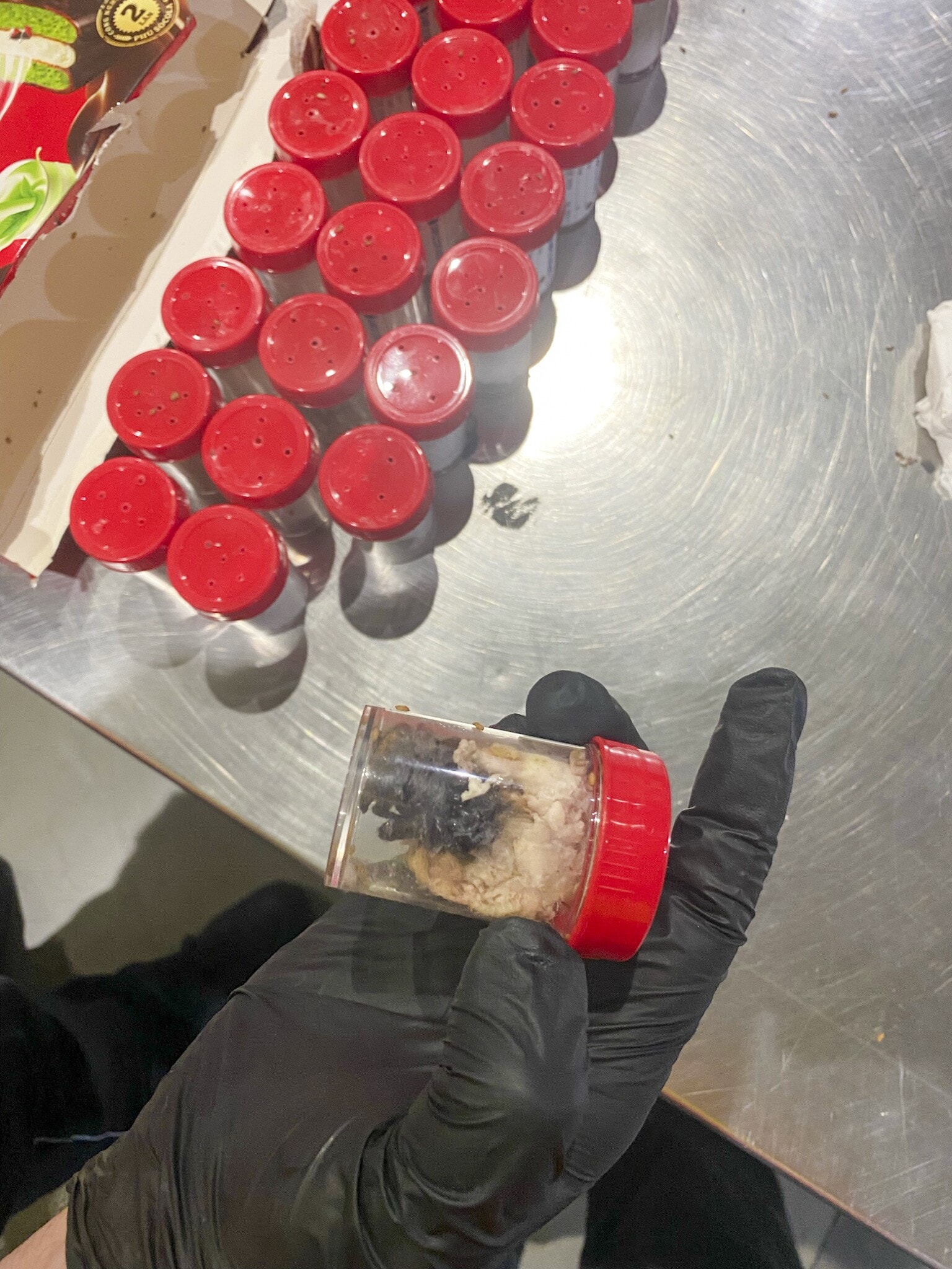 Plastic containers holding young tarantulas.