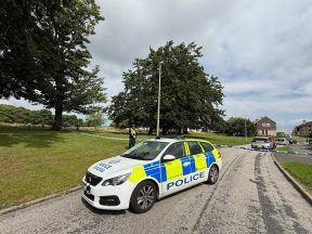XL Bully dead and man in hospital after car driven into Aberdeen park in murder bid