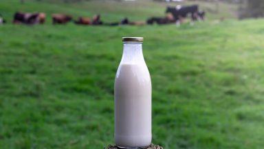 Milked dry: Scottish dairy farmers slam UK Government glass bottle levy