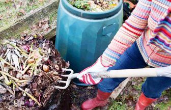 High demand sees council’s organic recycling scheme run out of composters