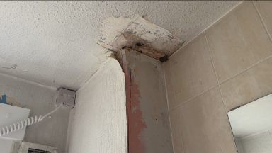 Cost of inadequate social housing laid bare amid housing crisis