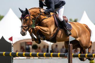 Over 20,000 visitors expected to attend inaugural Scone International Horse Trials