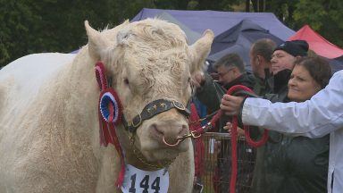 Punters not put off by storm as Turriff Show gets under way