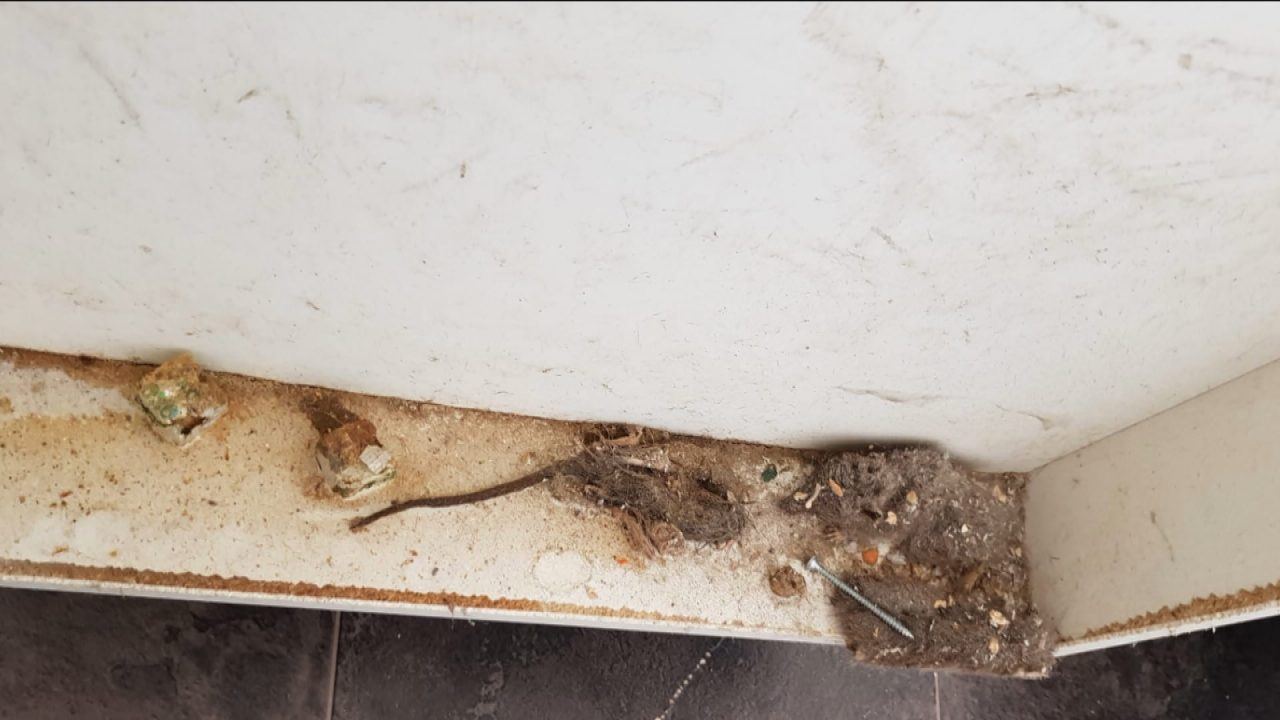 Hundreds of complaints over mould and dampness in Glasgow flats