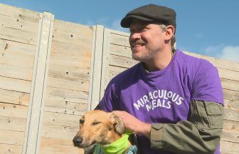 Will Young visits Edinburgh Dog and Cat Home in pet food donation tour