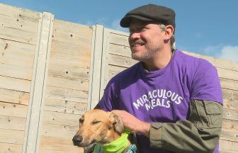 Pup Idol: Will Young helps deliver thousands of meals to Scottish dogs in need