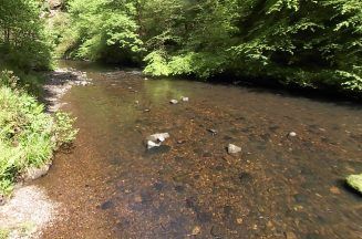 Probe into pollution incident in River North Esk in Midlothian ongoing