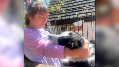 Holyrood hears first evidence on bill to protect children with additional needs