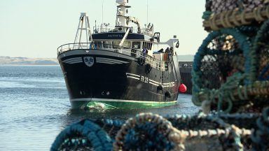 Fishing leaders slam proposal to ban cod trawling as ‘mad’
