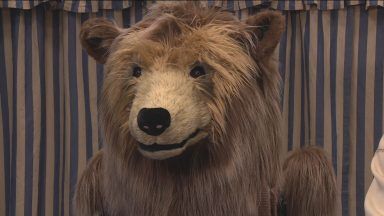 Hercules the Bear takes to the stage in new Scottish tour