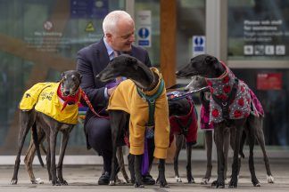 Scottish Government to support Green Bill to end greyhound racing