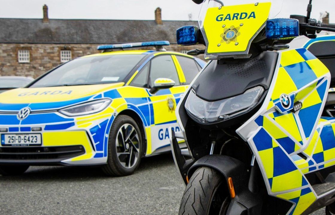 Woman dies after being stung by bees in Co Mayo