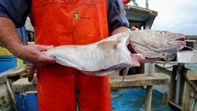Scottish ministers urged to end ‘pointless’ seasonal Clyde fishing closure