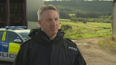 ‘Organised’ rural crime costs industry £1m as livestock and equipment thefts soar