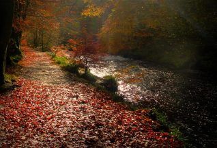 Body of man discovered at Calderglen Country Park