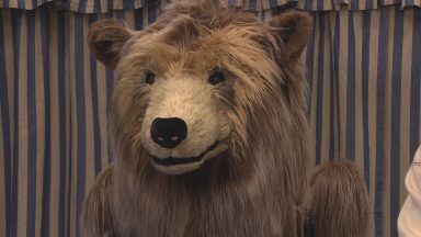 Hercules the Bear takes to the stage in new Scottish tour