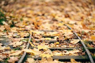 Network Rail to spend £6.4m removing autumn leaves from Scottish railway lines