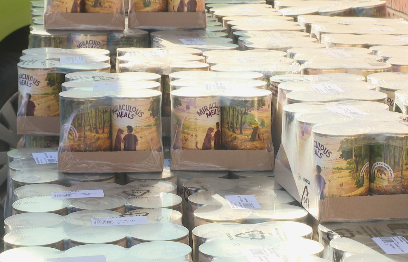 Will co-founded Miraculous Meals in 2023 alongside two others.