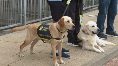 Guide Dogs Scotland: ‘Without the community, it wouldn’t be possible’