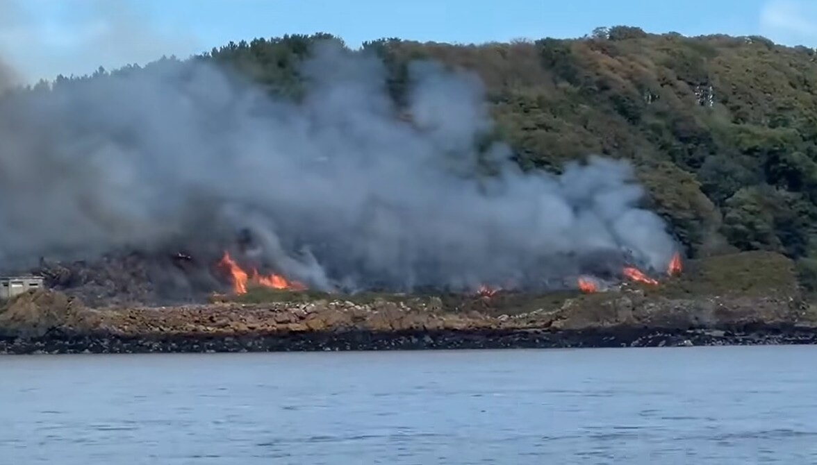 Flames have taken hold of the gorse area.