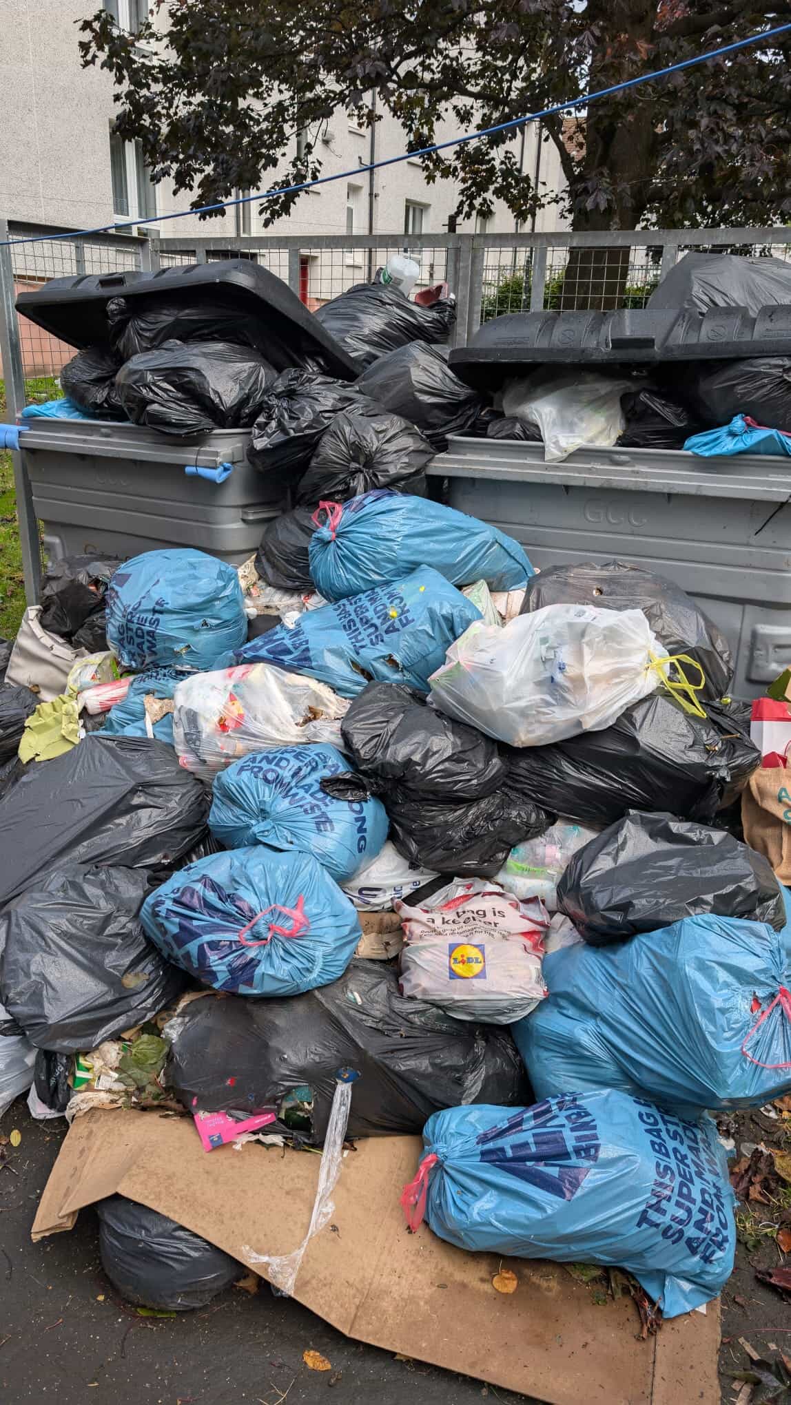 An MSP has claimed cleansing workers are 'fighting rats off with shovels' while emptying bins across Glasgow.