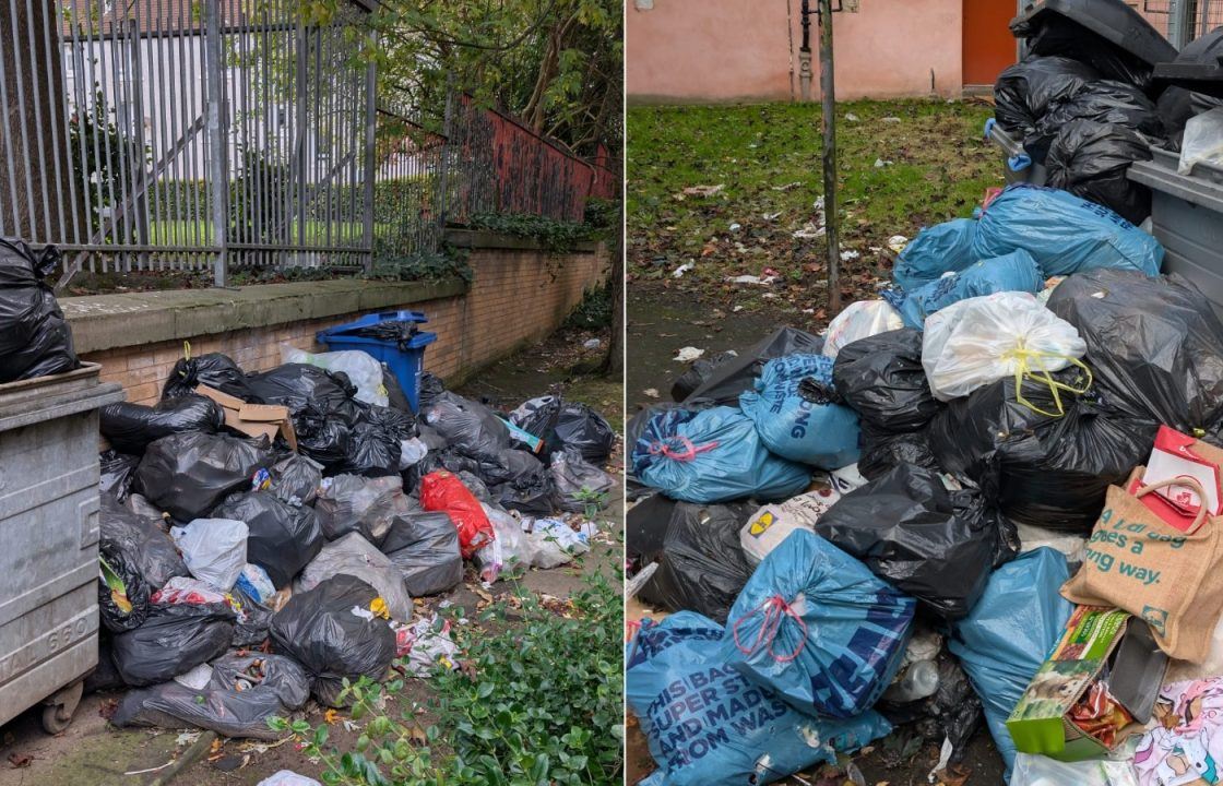 ‘Bin men fighting rats off with shovels’ as infestation continues across Glasgow