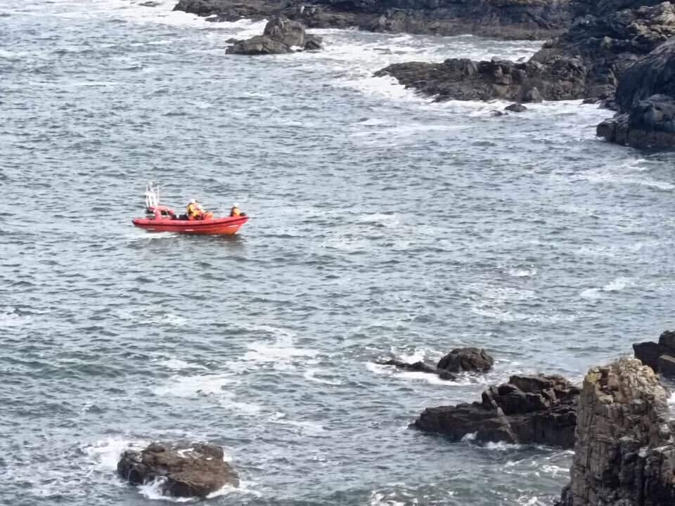 The dog's condition is unknown at this stage.