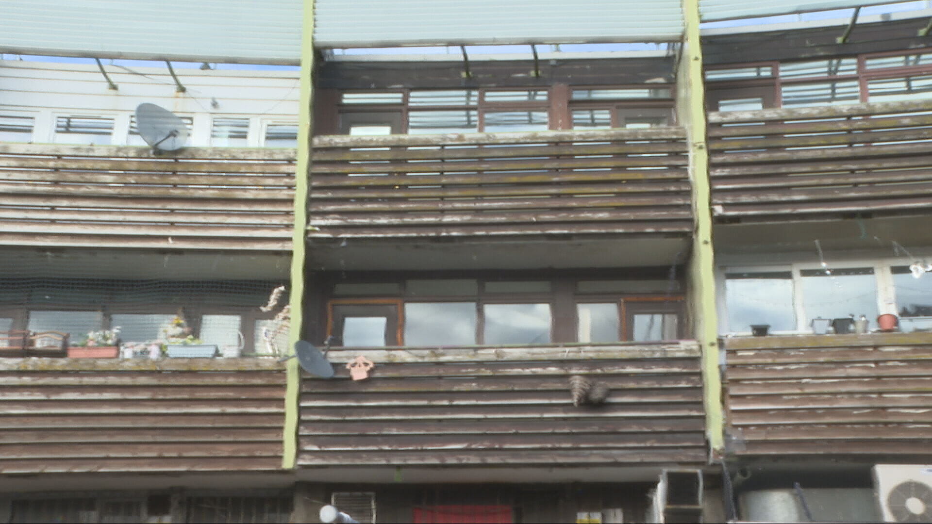 The rat climbed into Susan's flat from the balcony.