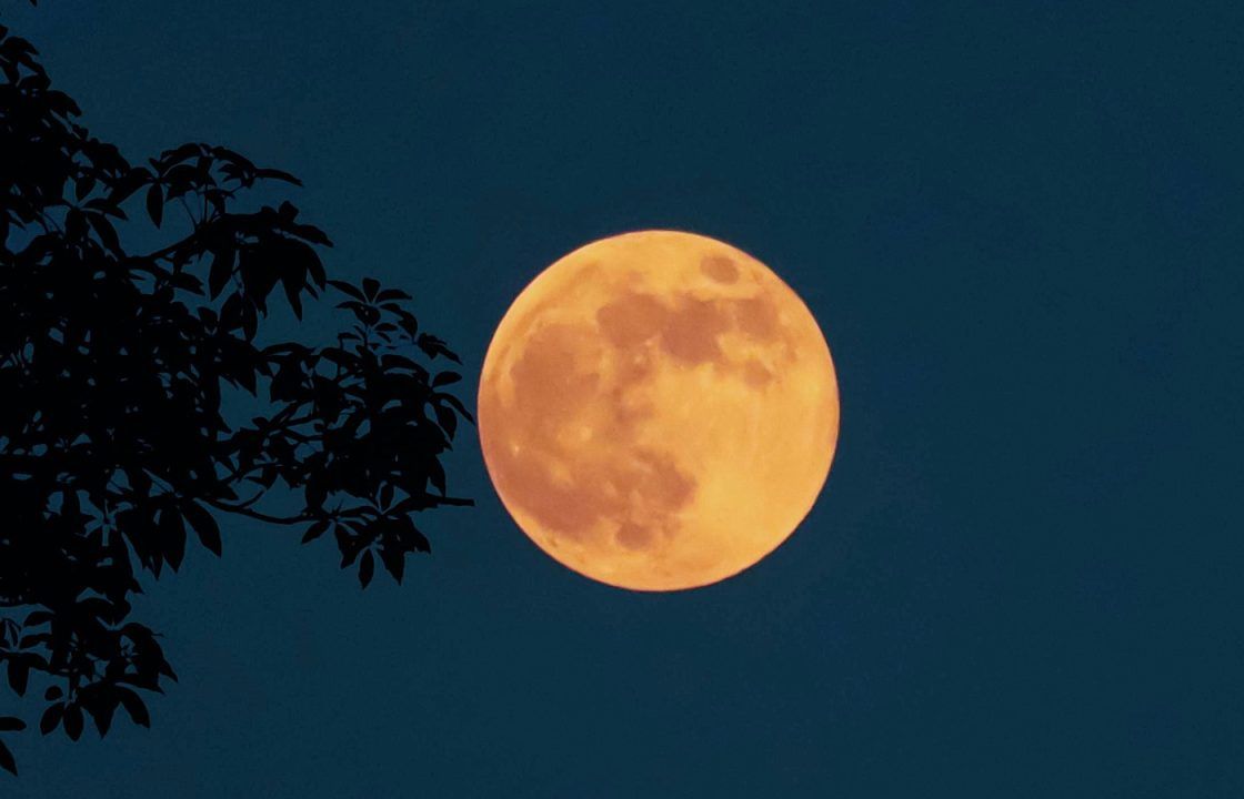 Harvest Moon 2025: Will the first supermoon of the year be visible in Scotland?