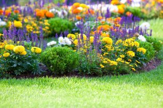 Councillor suspended for one month after complaining about Isle of Bute flower beds on social media